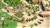 Age of Empires Online - az egyiptomiak