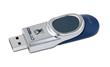 Kingston 8GB USB pen drive (DT160/8GB)